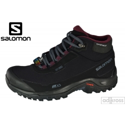 Термо-ботинки Salomon Shelter CS WP W 411105