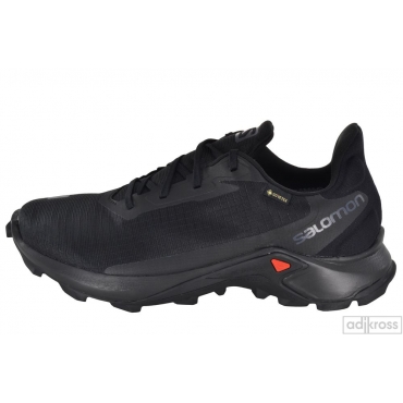 Кроссовки Salomon Alphacross 3 GTX 414466