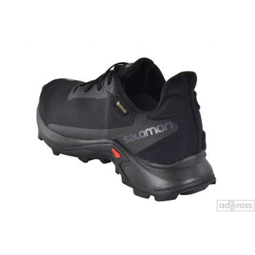 Кросівки Salomon Alphacross 3 GTX 414466