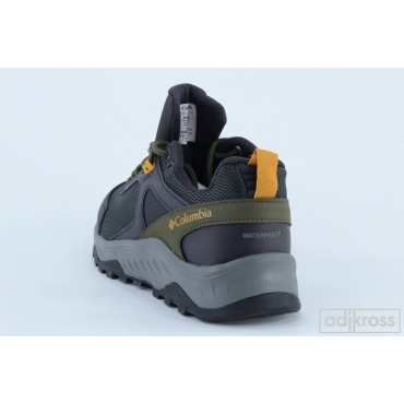 Кроссовки COLUMBIA Trailstorm™ Ascend Wp BM7416-011