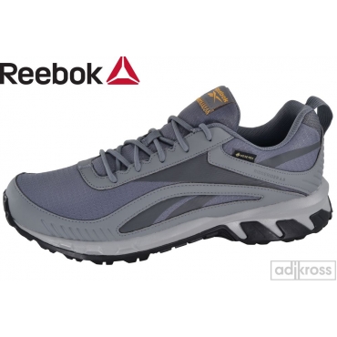 Кросівки Reebok RIDGERIDER 6 GTX GY0207