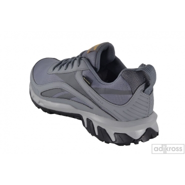 Кроссовки Reebok RIDGERIDER 6 GTX GY0207